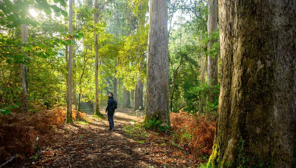 El pueblo mágico de Lugo, España&nbsp;