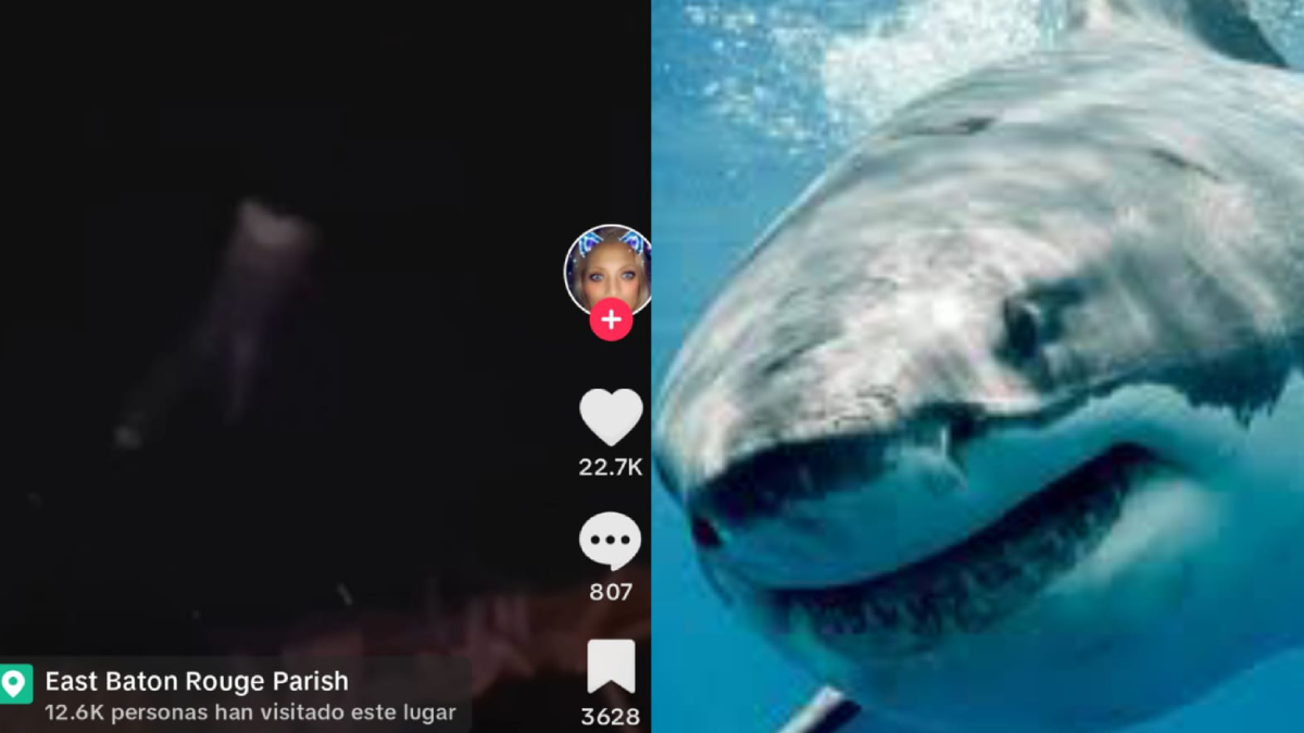 Un joven se arrojó al océano, desapareció y el video es viral en TikTok.