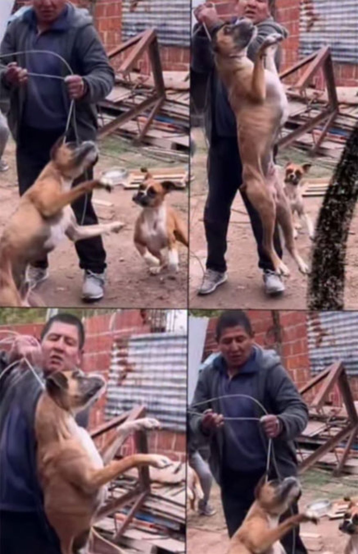 Esteban Lucio Vargas fue detenido por maltrato animal. Esteban Lucio Vargas fue detenido por maltrato animal.