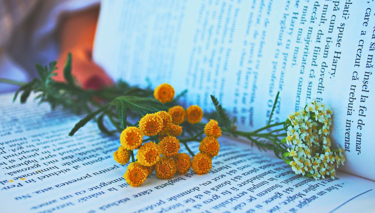 En los libros, textos y carteles de la calle, puedes encontrar palabras o frases llamativas y profundas. En los libros, textos y carteles de la calle, puedes encontrar palabras o frases llamativas y profundas. 