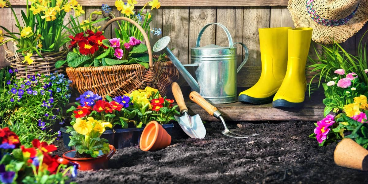 Prueba este truco casero y tu jardín se llenará de color todo el año.