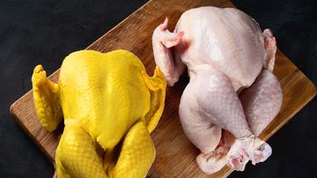 Pollo blanco o amarillo: qué diferencias tienen y cuál conviene comprar Pollo blanco o amarillo: qué diferencias tienen y cuál conviene comprar