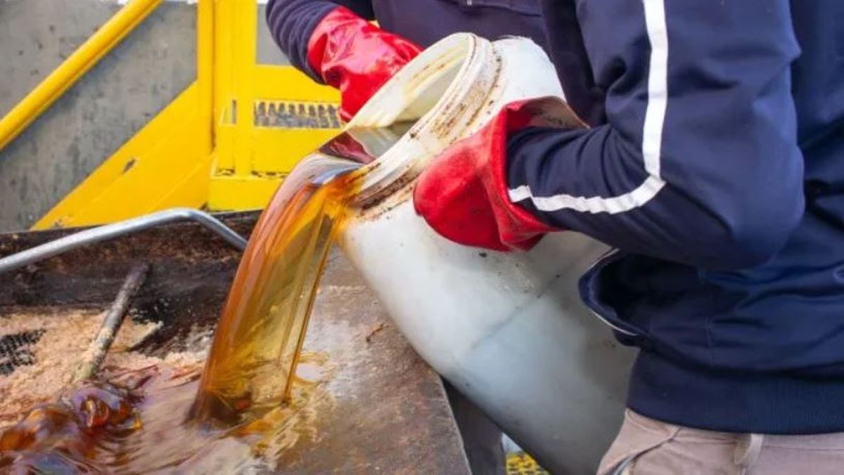 Cómo reutilizar el aceite vegetal correctamente, algo que debemos saber. /Gentileza