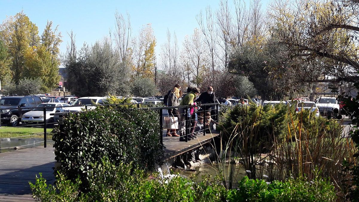 Pronóstico del tiempo en Mendoza: domingo soleado y agradable