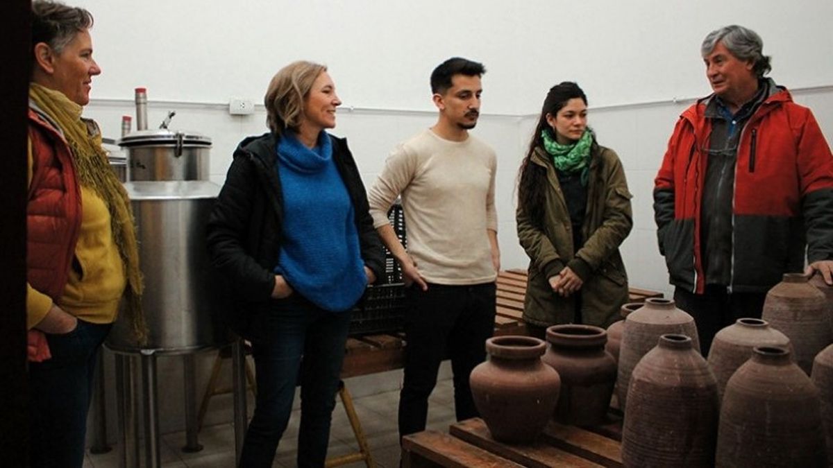 Los especialistas aseguran que la propuesta permite a la industria vitivinícola proteger el ambiente. Los especialistas aseguran que la propuesta permite a la industria vitivinícola proteger el ambiente.