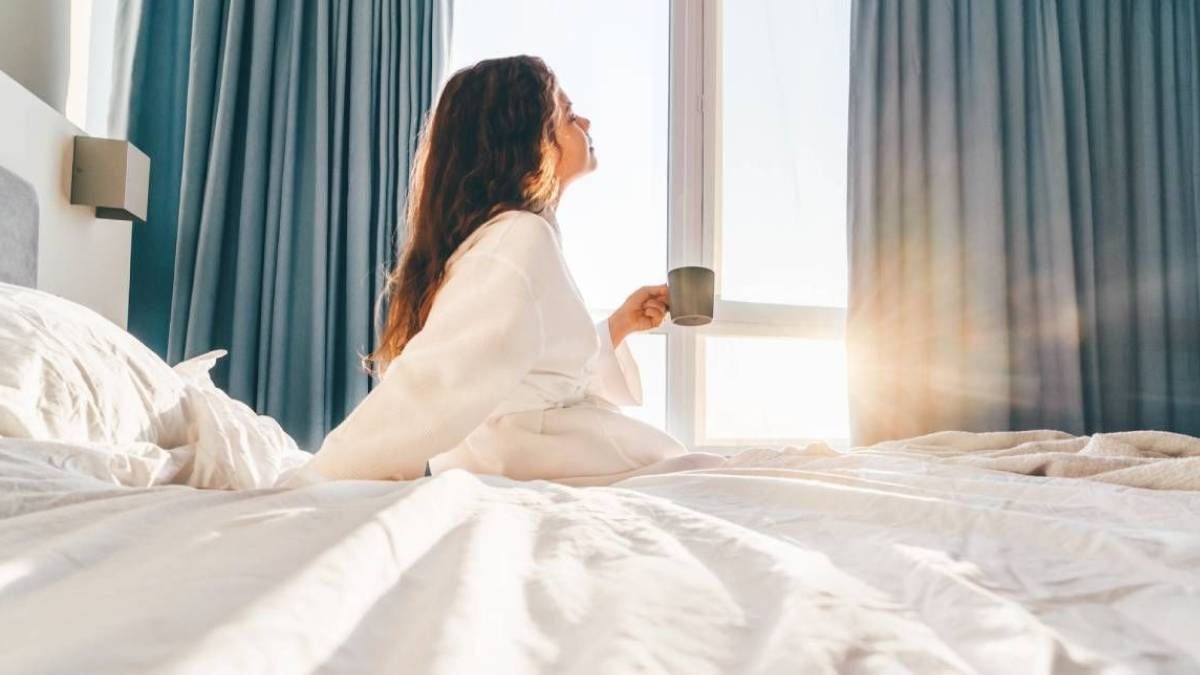 La poderosa planta para dormir bien y que no puede faltar en tu cuarto