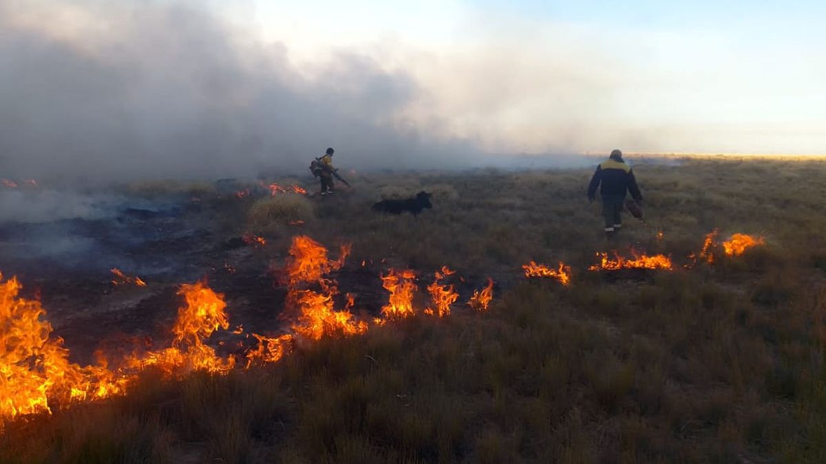 En una semana se registraron más de 100 incendios en toda la provincia. Imagen ilustrativa. En una semana se registraron más de 100 incendios en toda la provincia. Imagen ilustrativa.