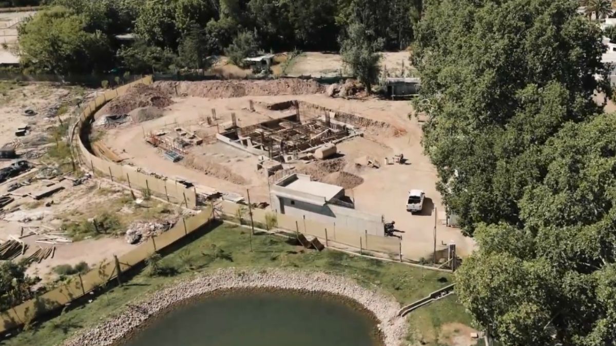 A paso lento pero firme: así avanza la capilla en honor a San Carlo Acutis en Chacras de Coria. 