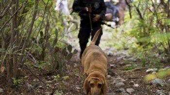 Grupos civiles iniciaron una búsqueda paralela de los 43 estudiantes desaparecidos
