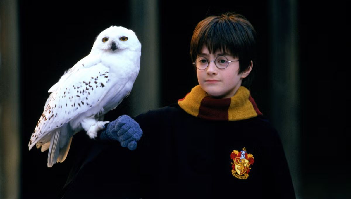 Daniel Radcliffe reveló cuál es su película favorita de Harry Potter