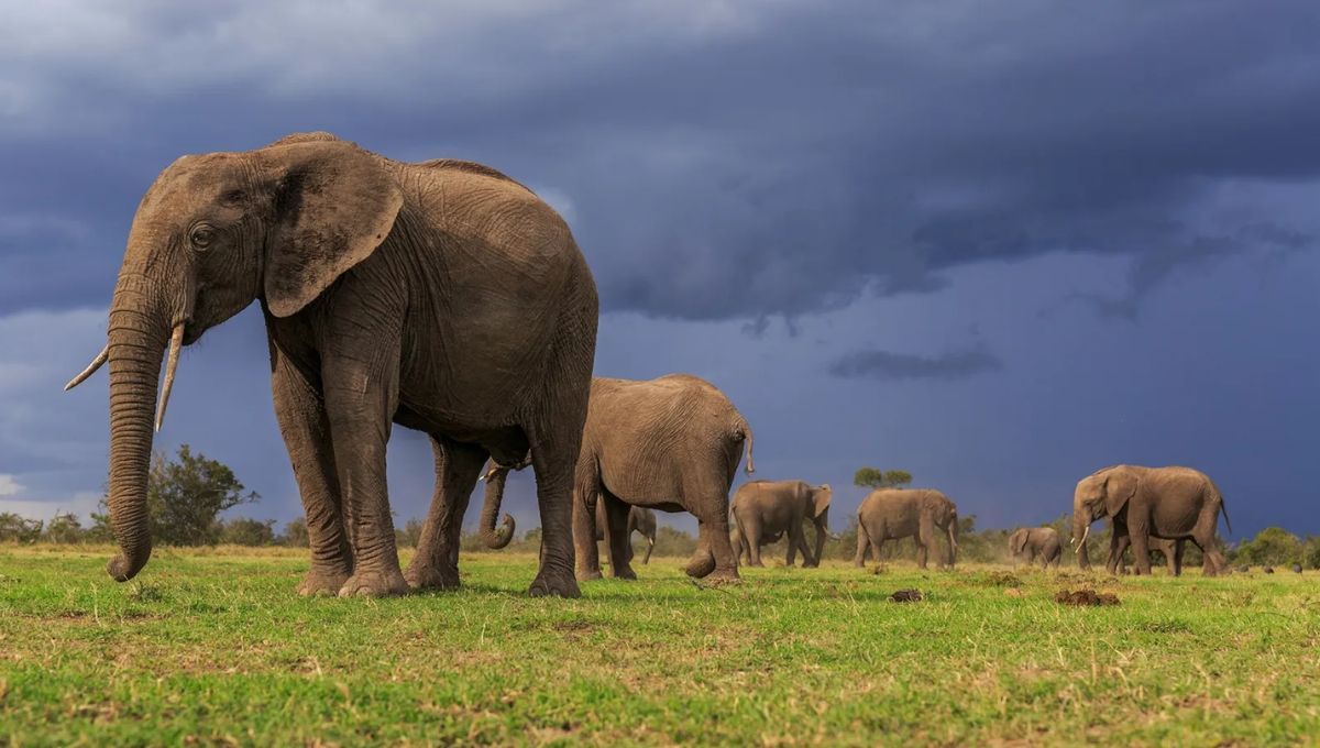 Cuál es la diferencia entre la