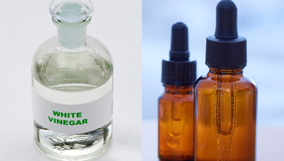 El vinagre de limpieza es mucho más ácido y concentrado que el de alimentos, perfecto para limpiar. El vinagre de limpieza es mucho más ácido y concentrado que el de alimentos, perfecto para limpiar. 