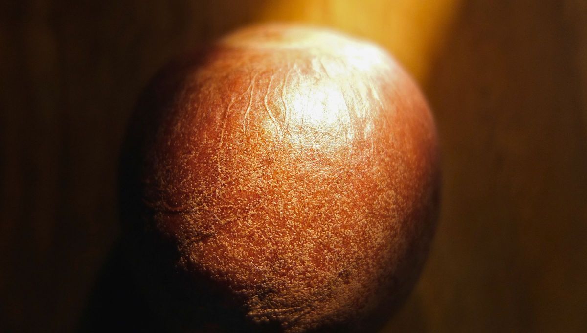 Los carozos de palta tienen miles de usos más allá de la basura. Los carozos de palta tienen miles de usos más allá de la basura.