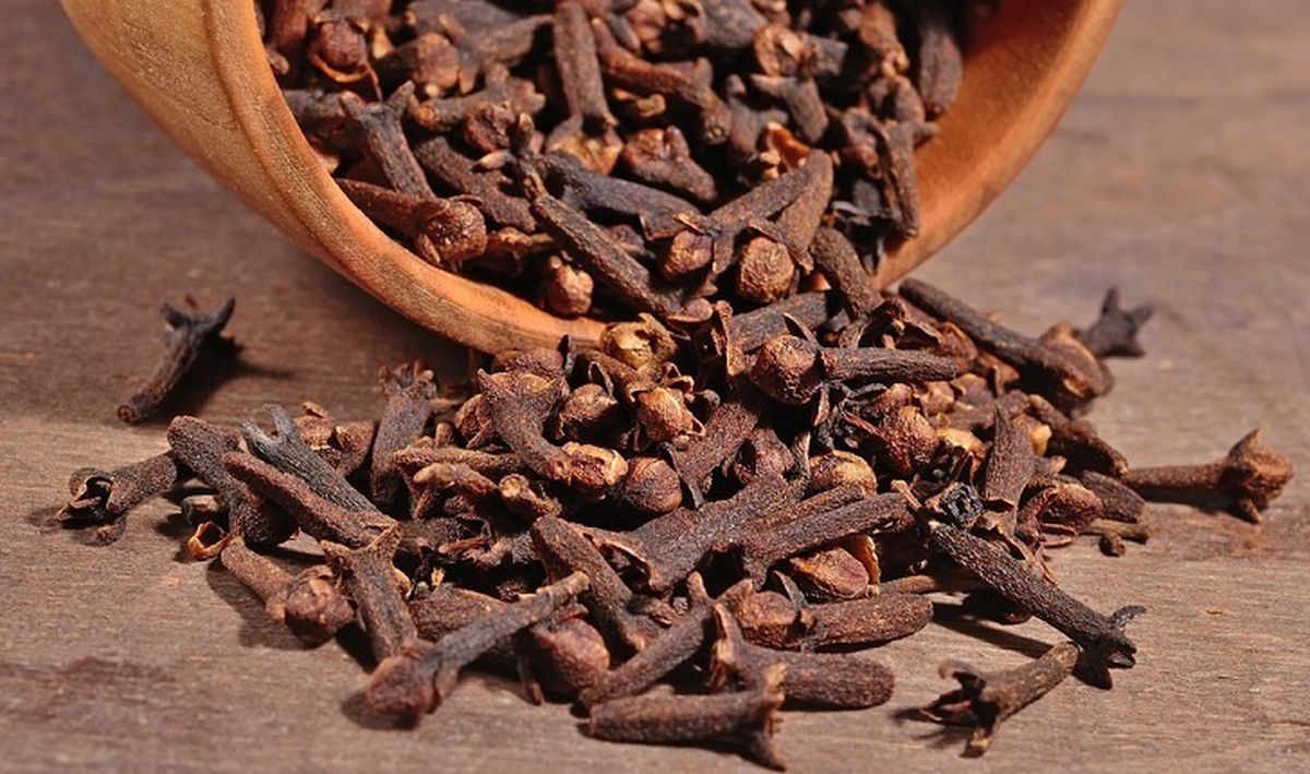 Sin cucarachas en casa: la especia que debes usar para evitar que se suban a los muebles Sin cucarachas en casa: la especia que debes usar para evitar que se suban a los muebles