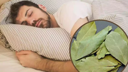 Feng Shui: qué beneficio da poner hojas de laurel en la almohada