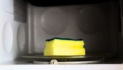 Calentar la esponja dentro del microondas es un excelente truco de limpieza