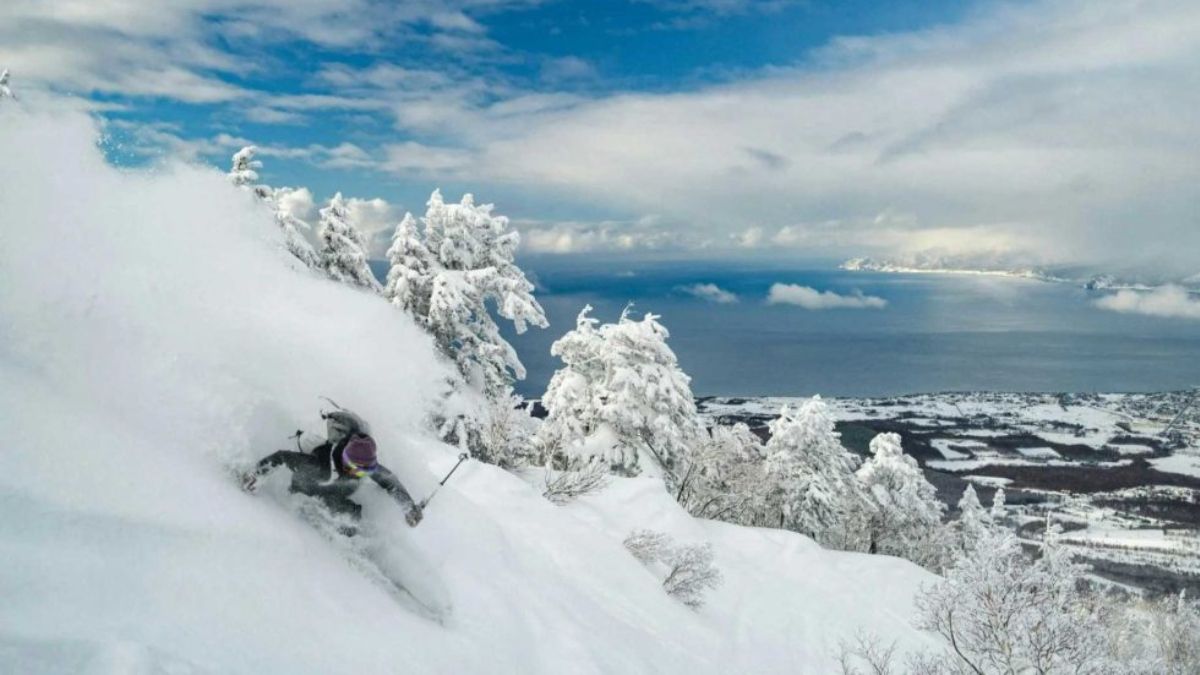 Nieve en Estados Unidos (Foto: Pixabay)