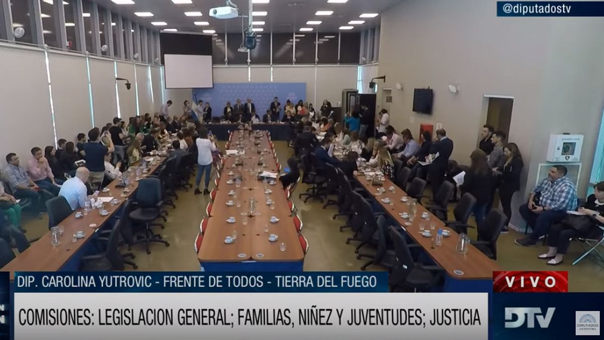 Diputados en Vivo.