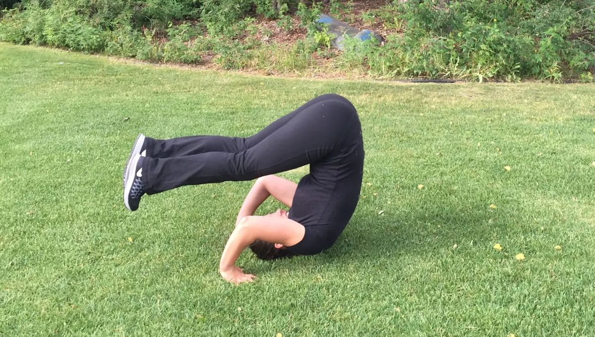 Qué significa y de dónde viene la frase 