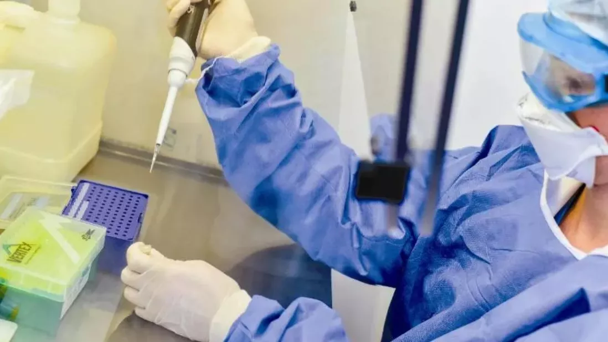 Avanzan los estudios para aminorar los efectos del Covid en Argentina.