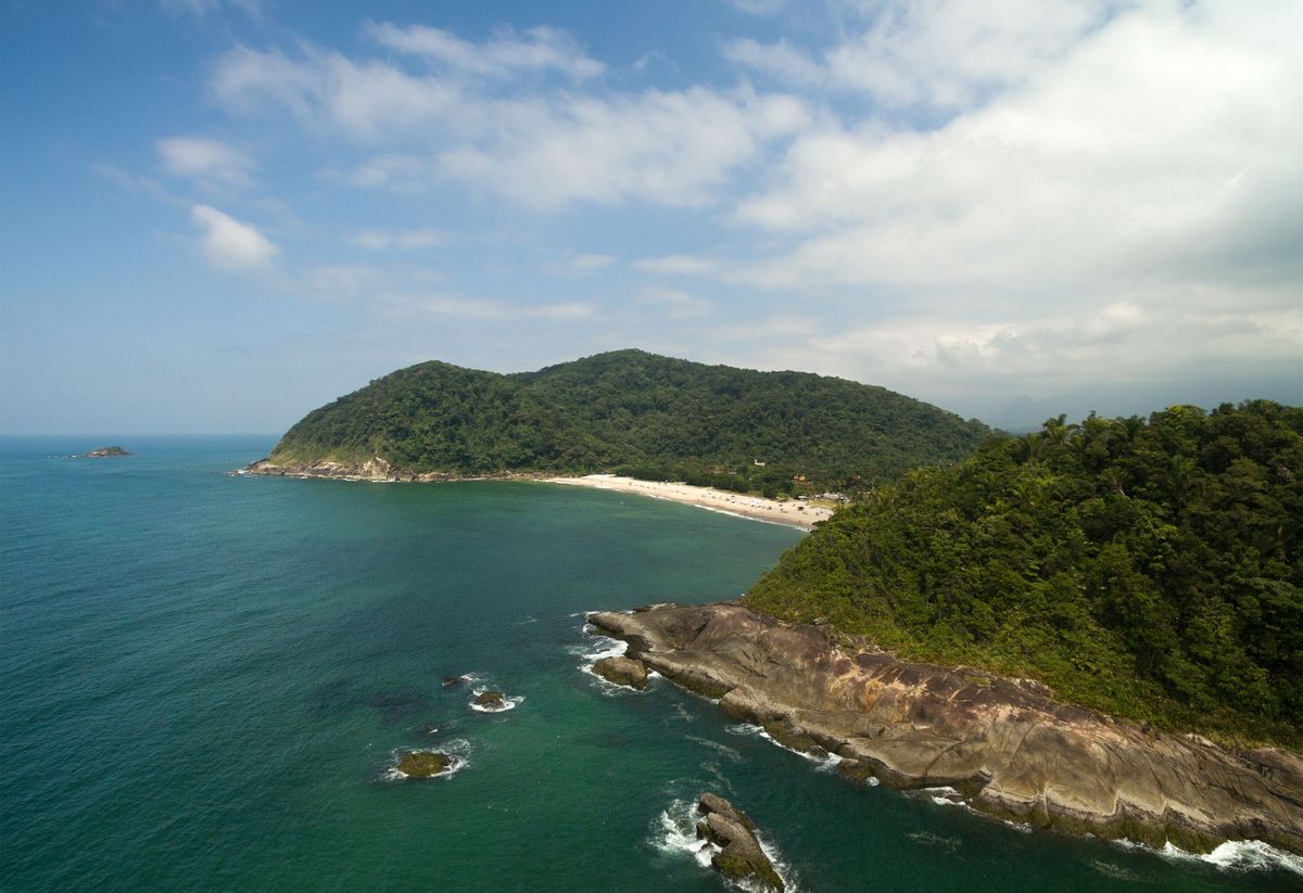 Ni Pipa ni Florianópolis: la playa de Brasil que es famosa por sus bioluminiscencias que tiñen las olas de azul eléctrico