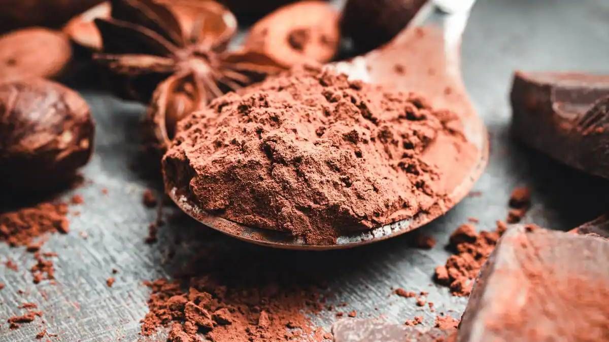 El cacao es un alimento de uso milenario para prevenir enfermedades y retrasar el envejecimiento. El cacao es un alimento de uso milenario para prevenir enfermedades y retrasar el envejecimiento.