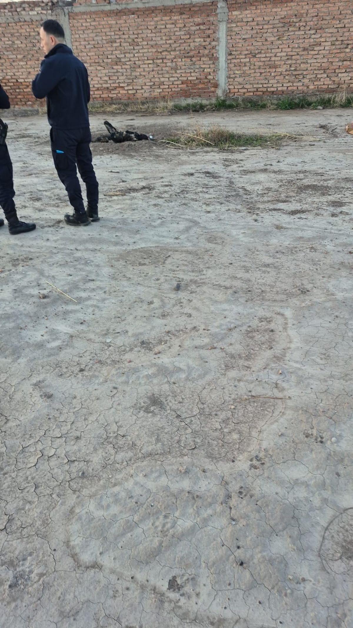 El cadáver fue encontrado en Manuel A. Sáenz de Guaymallén El cadáver fue encontrado en Manuel A. Sáenz de Guaymallén