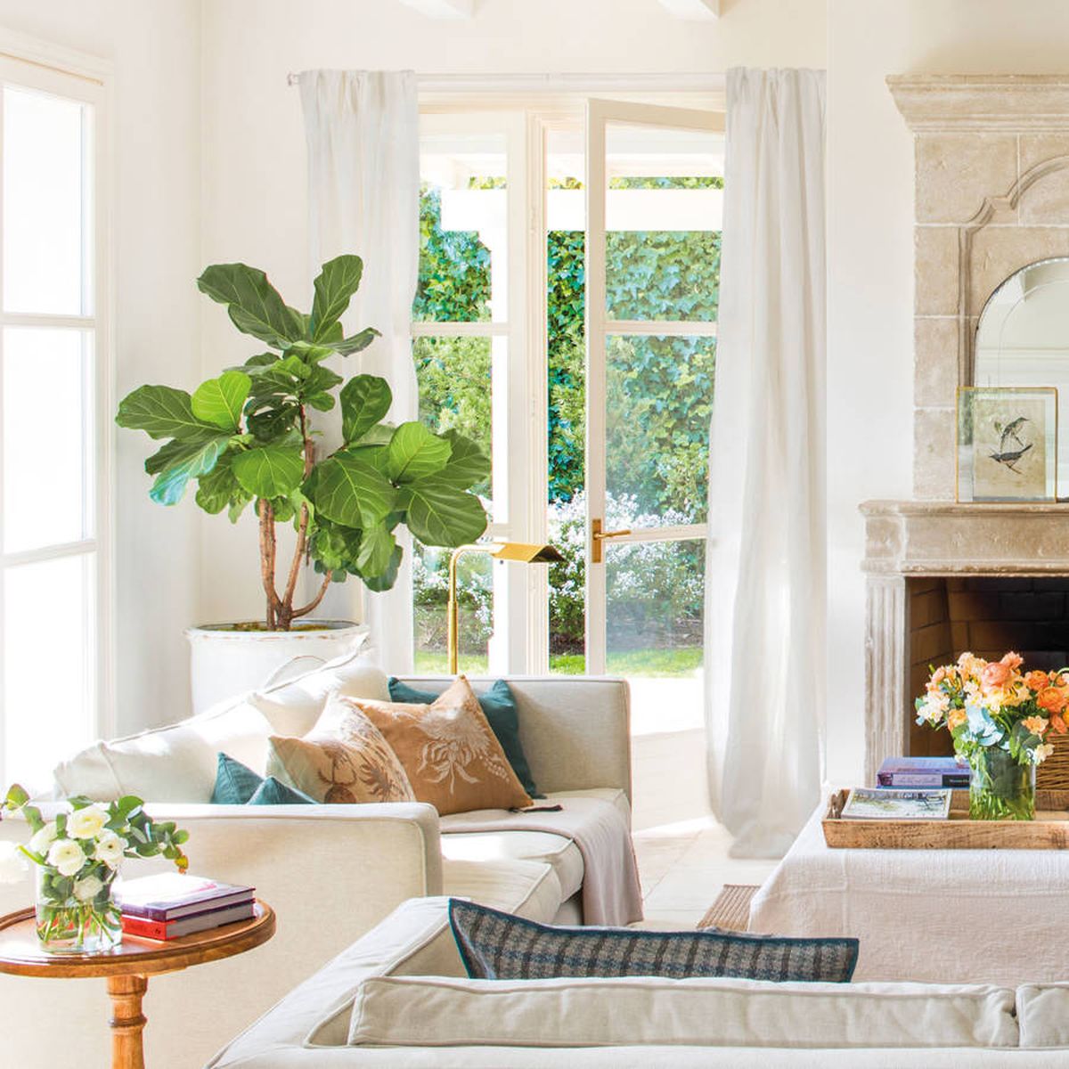 Las 3 plantas que son tendencia y no pueden faltar en tu hogar Las 3 plantas que son tendencia y no pueden faltar en tu hogar