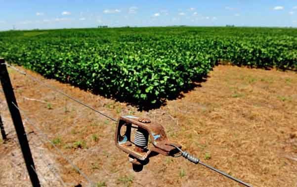 Falta más debate sobre el modelo agropecuario