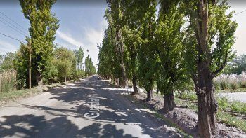 Chocó a una camioneta que cortaba la calle por la caída de un árbol y murió