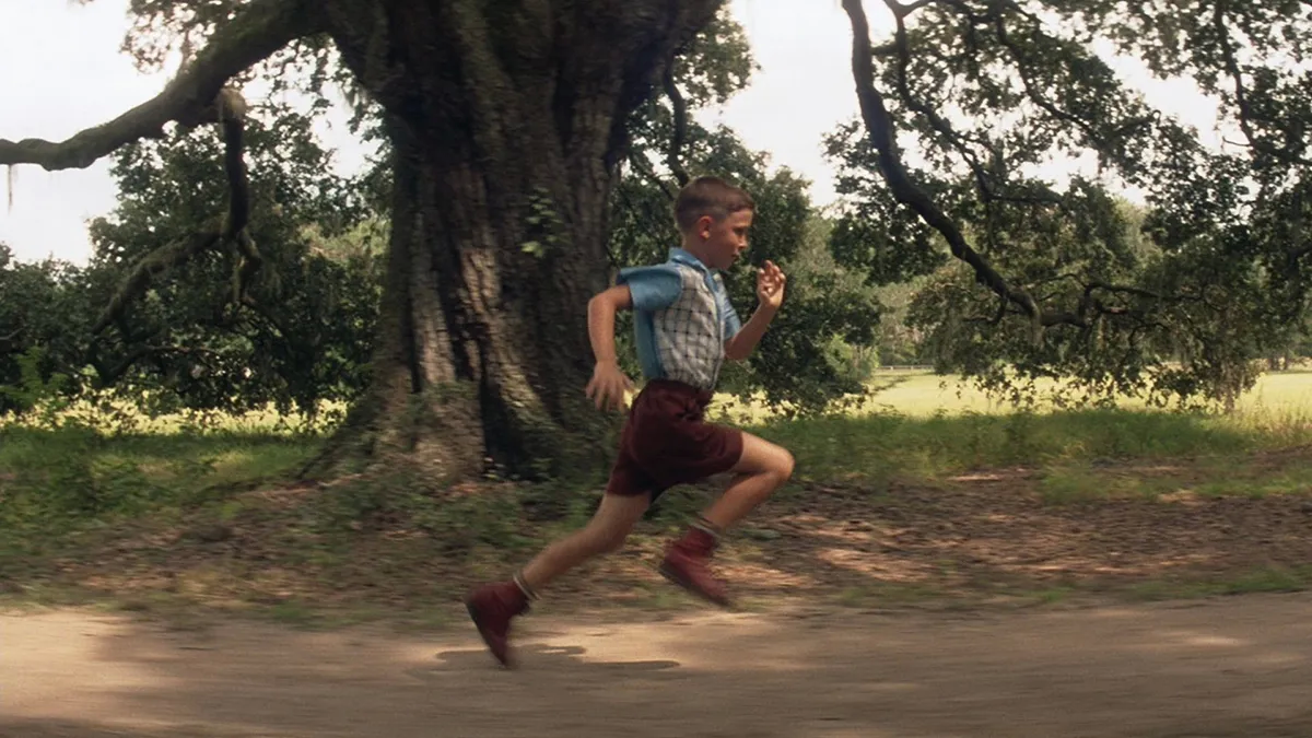 Michael Conner Humphreys en Forrest Gump, la película que conquistó el corazón de todos. Michael Conner Humphreys en Forrest Gump, la película que conquistó el corazón de todos.