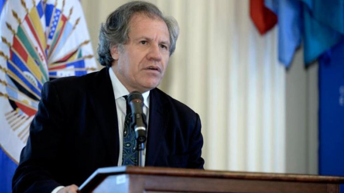 Luis Almagro, titular de la OEA reconció el triunfo del MAS en Bolivia.