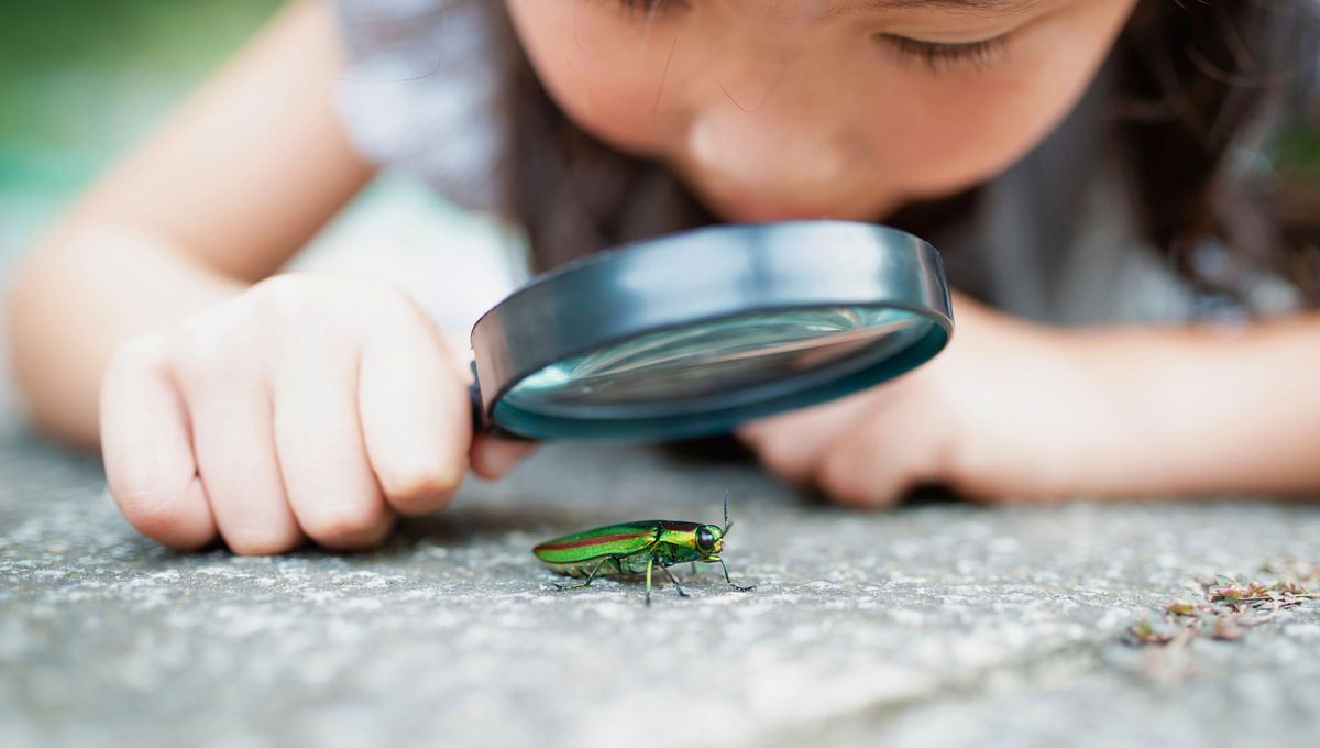 Una palabra muy bonita que invita a buscar nuevos conocimientos y aprendizajes diarios. Una palabra muy bonita que invita a buscar nuevos conocimientos y aprendizajes diarios. 