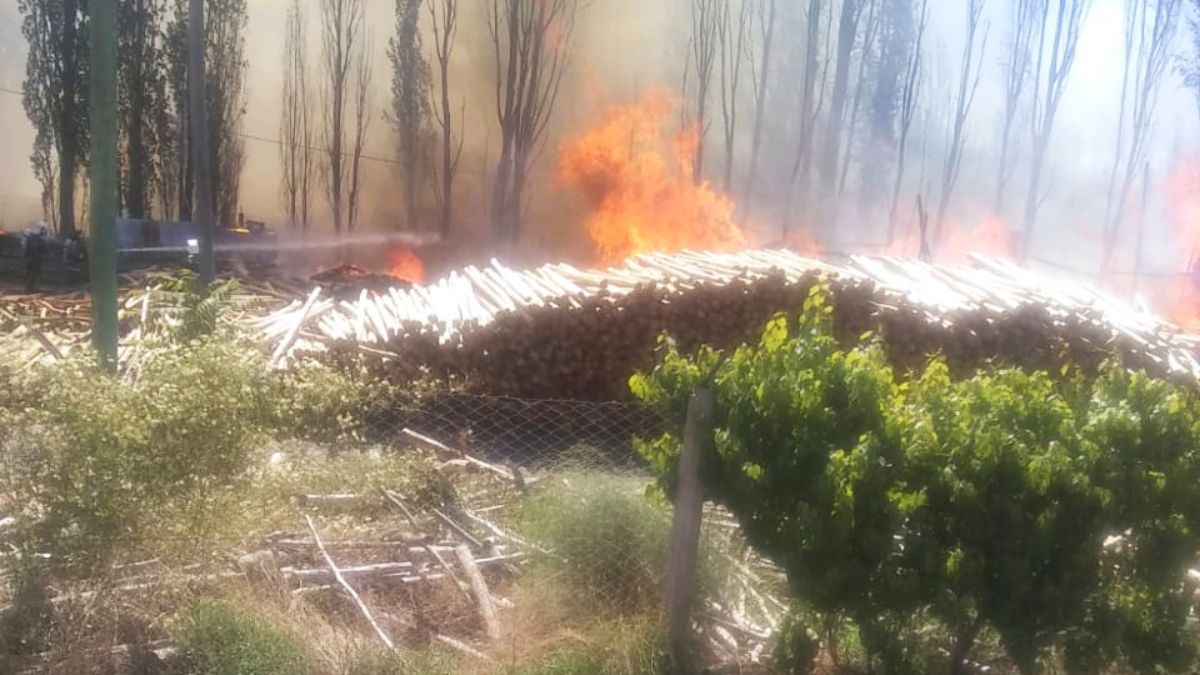 La rápida acción de los bomberos evitó mayores daños y una peligrosa propagación a los campos aledaños en el incendio de una maderera de Luján de Cuyo.