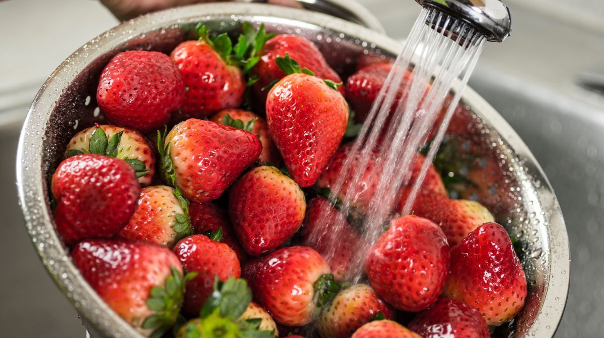 Las frutillas mejoran con esta técnica y las tenés por más días frescas en tu nevera. Las frutillas mejoran con esta técnica y las tenés por más días frescas en tu nevera.