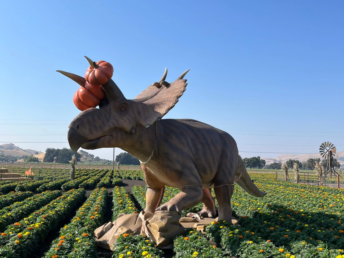 Jurassic Park en el huerto: dinosaurios animatrónicos entre las calabazas Jurassic Park en el huerto: dinosaurios animatrónicos entre las calabazas