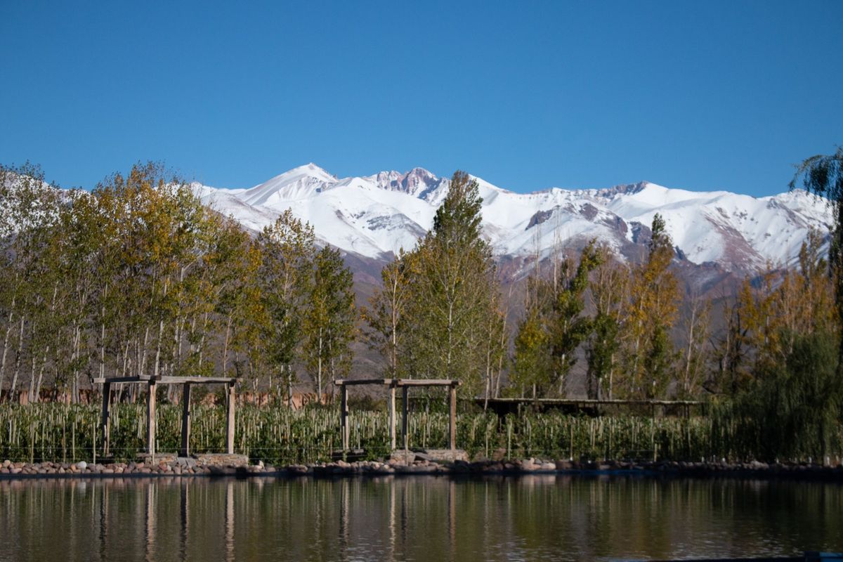 Los paisajes naturales que regala la Estancia San Alberto asombran al visitante que busca paz y disfrute para su estadía. Los paisajes naturales que regala la Estancia San Alberto asombran al visitante que busca paz y disfrute para su estadía.