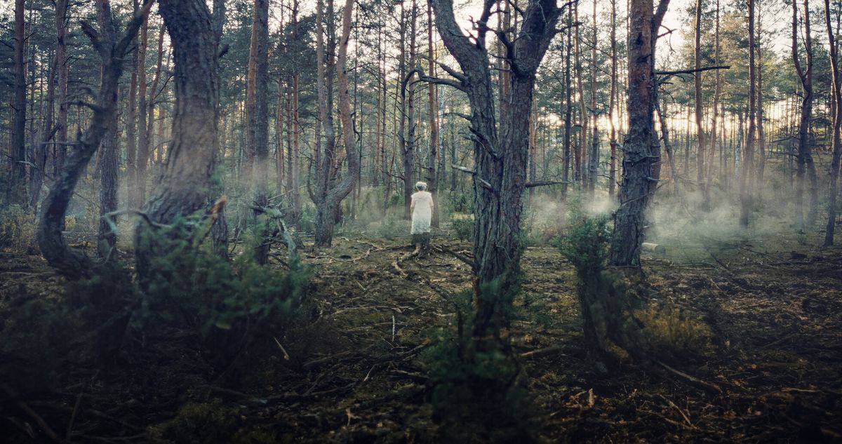 Esta serie es una de las mejores ofertas polacas de Netflix. Esta serie es una de las mejores ofertas polacas de Netflix.