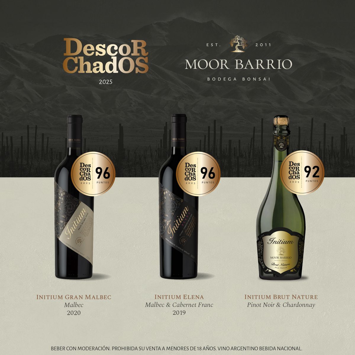 Los puntajes que obtuvieron los vinos de la bodega bonsai argentina.