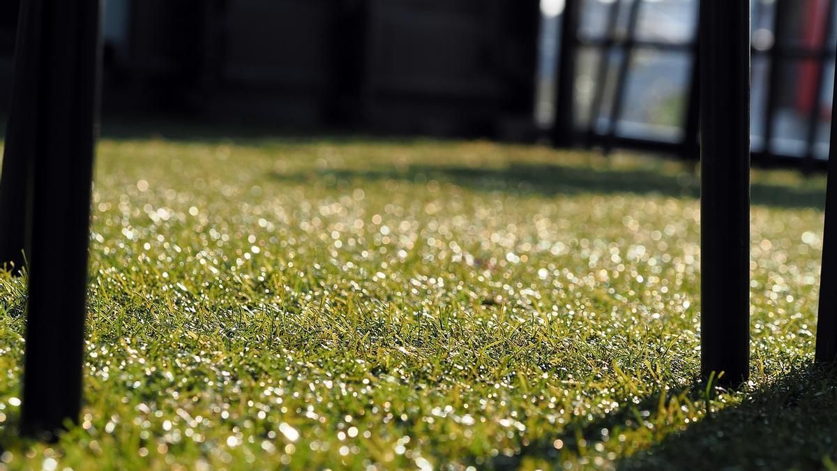 El truco para mejorar la calidad de tu jardín utilizando el césped recién cortado El truco para mejorar la calidad de tu jardín utilizando el césped recién cortado