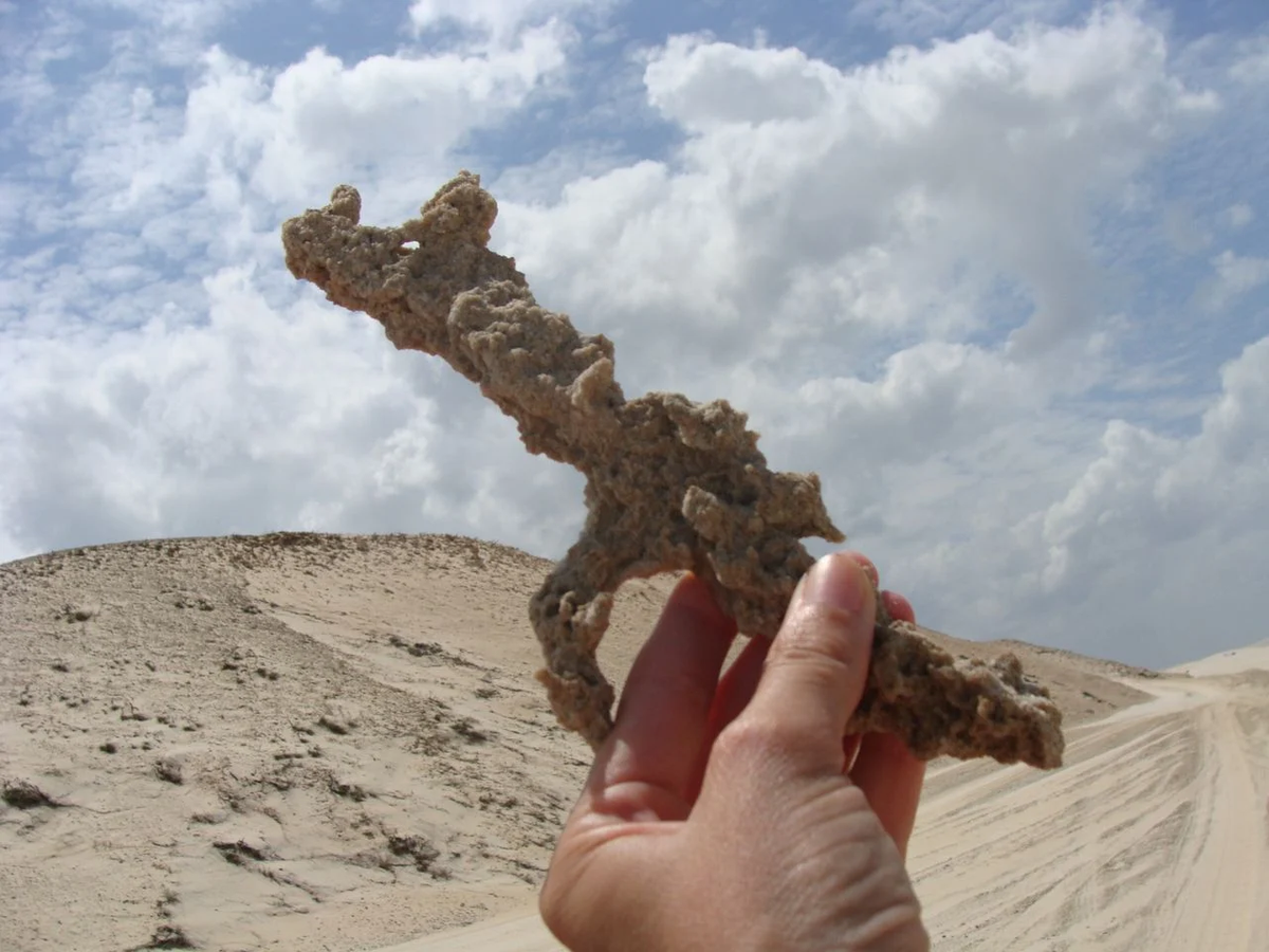 La fulgurita se considera una poderosa herramienta que abre el camino en viajes chamánicos La fulgurita se considera una poderosa herramienta que abre el camino en viajes chamánicos