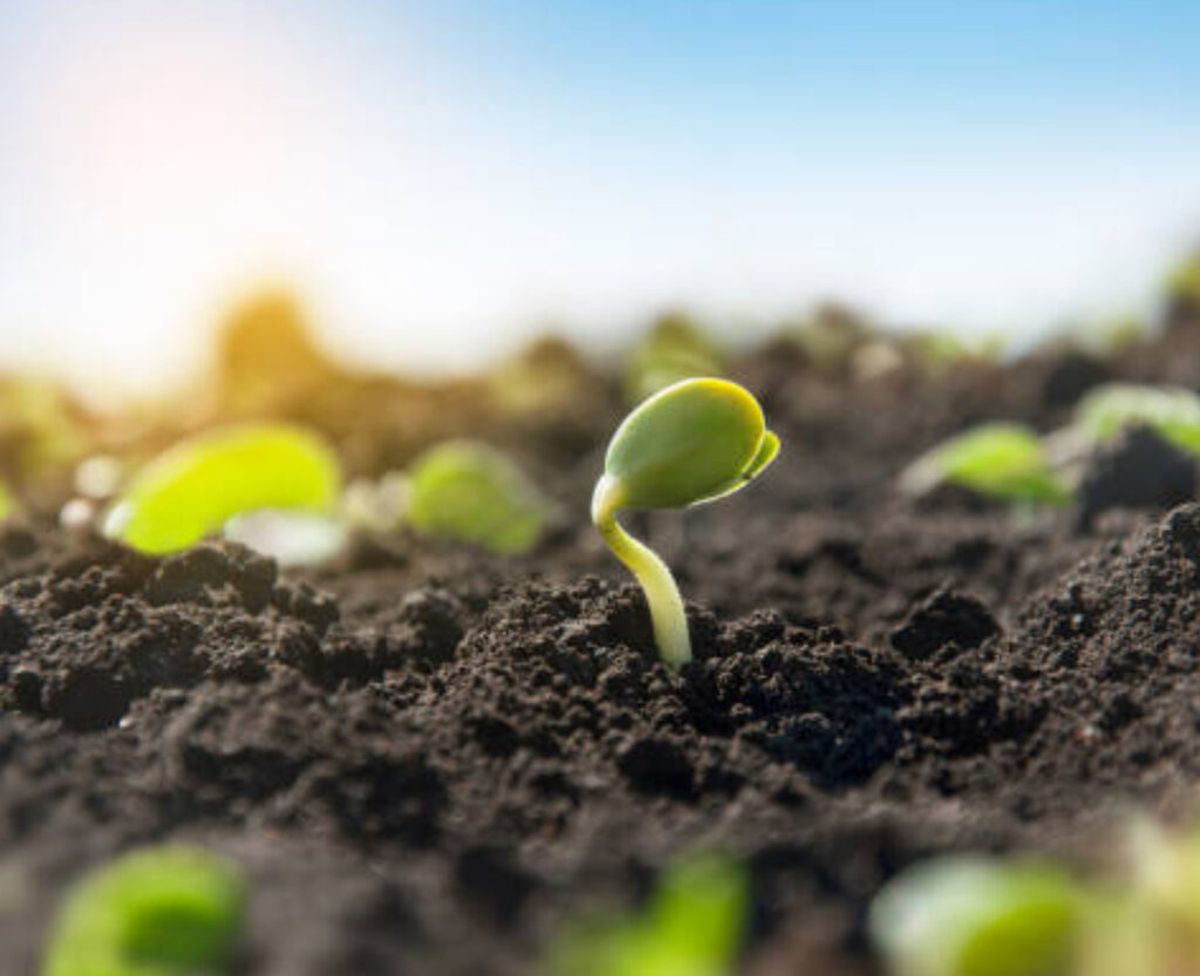 La monografía expresa que frente al cambio climático el ser humano tiene que buscar estrategias para cuidar el medio ambiente. La monografía expresa que frente al cambio climático el ser humano tiene que buscar estrategias para cuidar el medio ambiente.