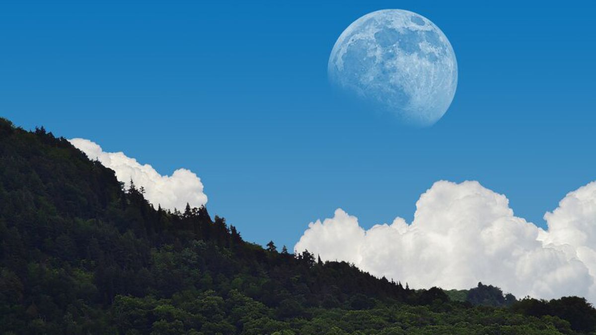 Calendario Lunar mayo 2024 cuándo cortarse el pelo para que crezca