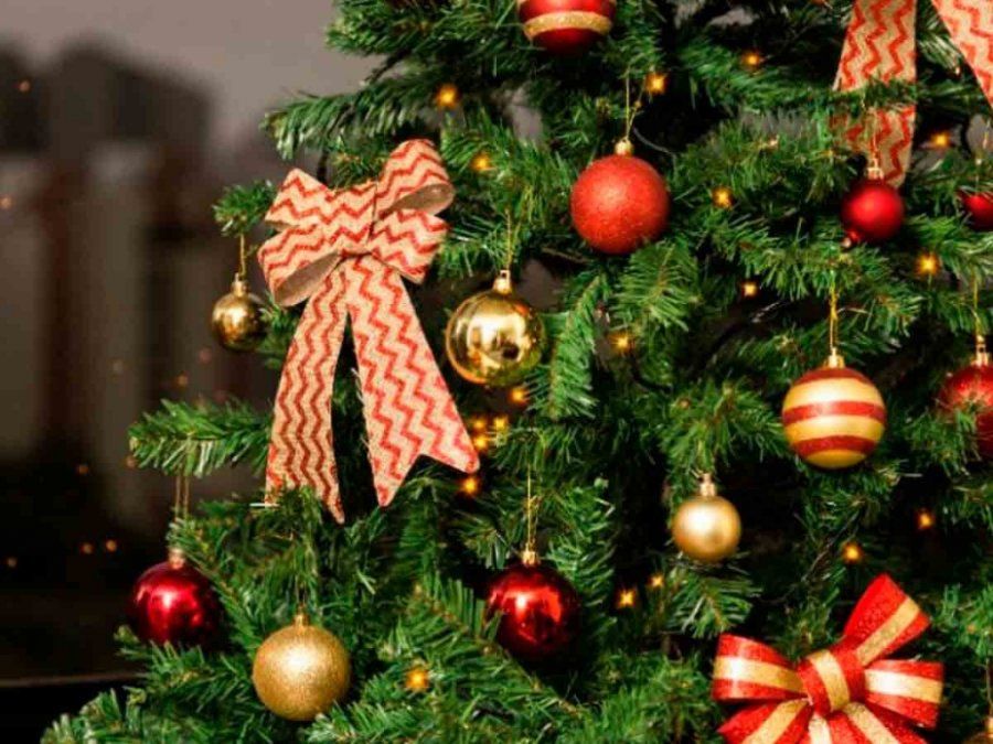Los precios para armar el arbolito de navidad en pandemia están un 20 o 30% más altos que en 2019.