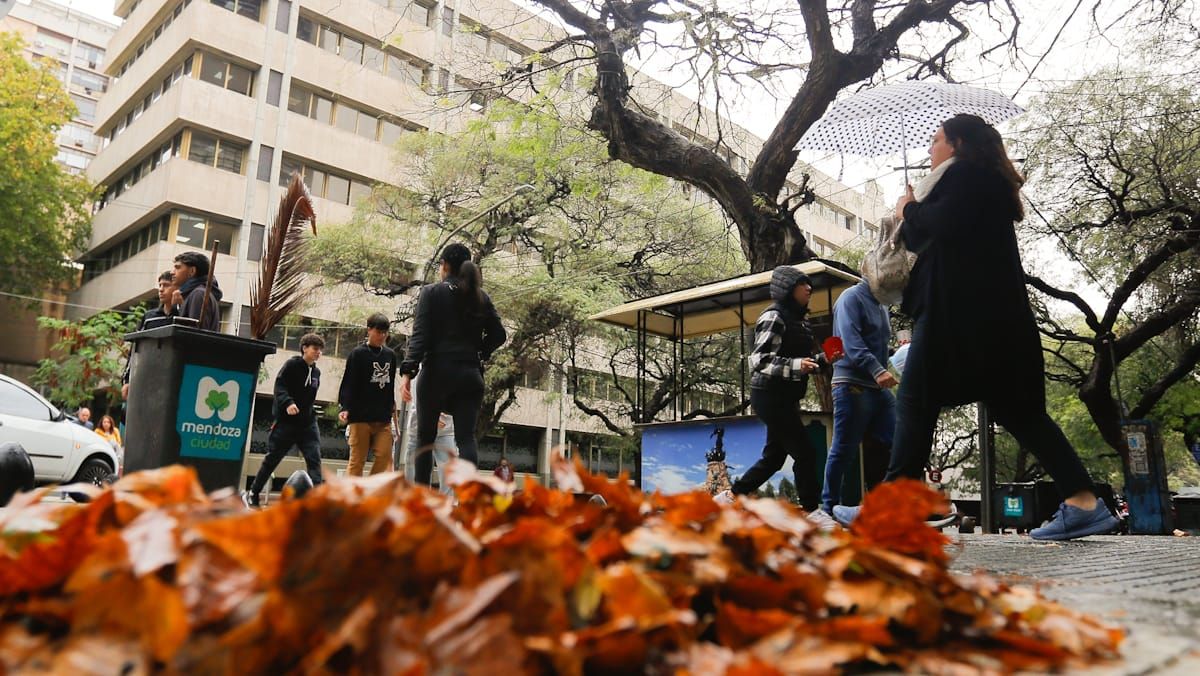 El otoño en Mendoza viene con lluvias, mucha humedad y temperaturas templadas El otoño en Mendoza viene con lluvias, mucha humedad y temperaturas templadas