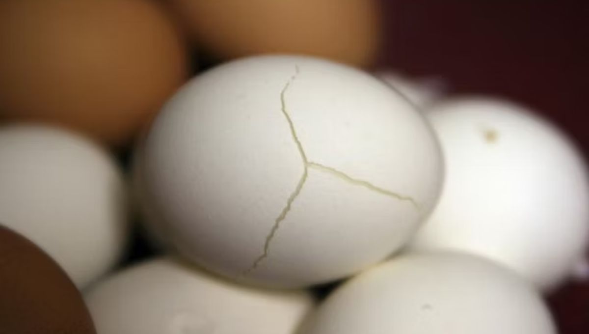 FUENTE 91.3 FM FUENTE 91.3 FM