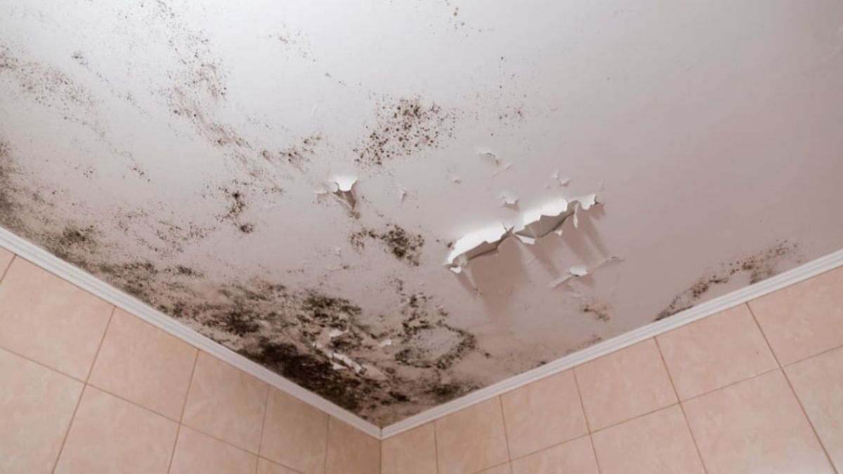 Trucos sencillos para limpiar las manchas de humedad del techo del baño
