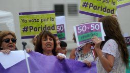 Los senadores del PJ consideran acotado el proyecto de paridad de Lifschitz y tienen uno propio