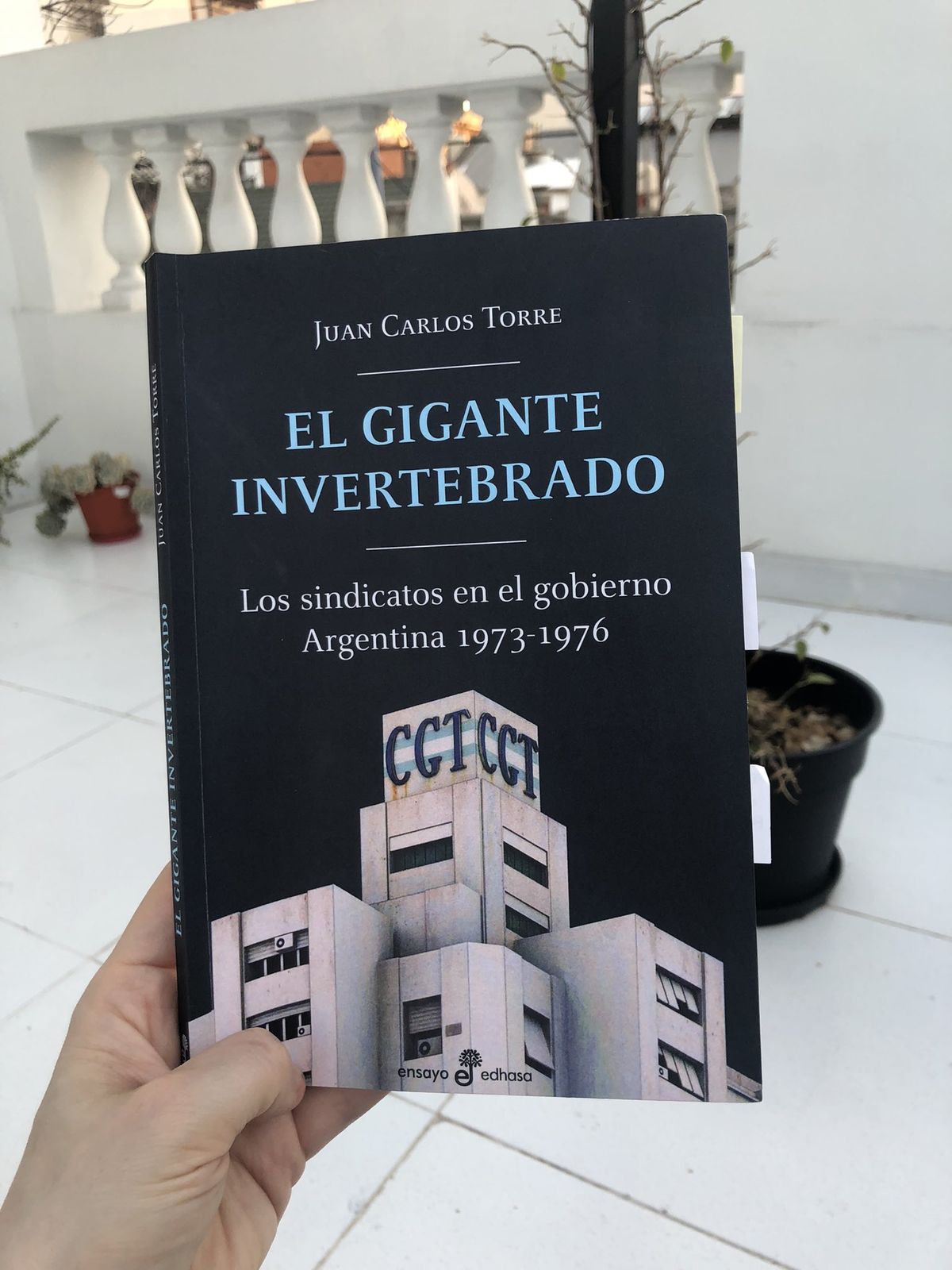 El Gigante Invertebrado, de Juan Carlos Torre.
