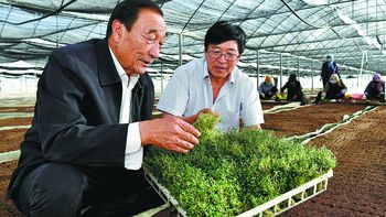 Elogiado por sus esfuerzos de forestación